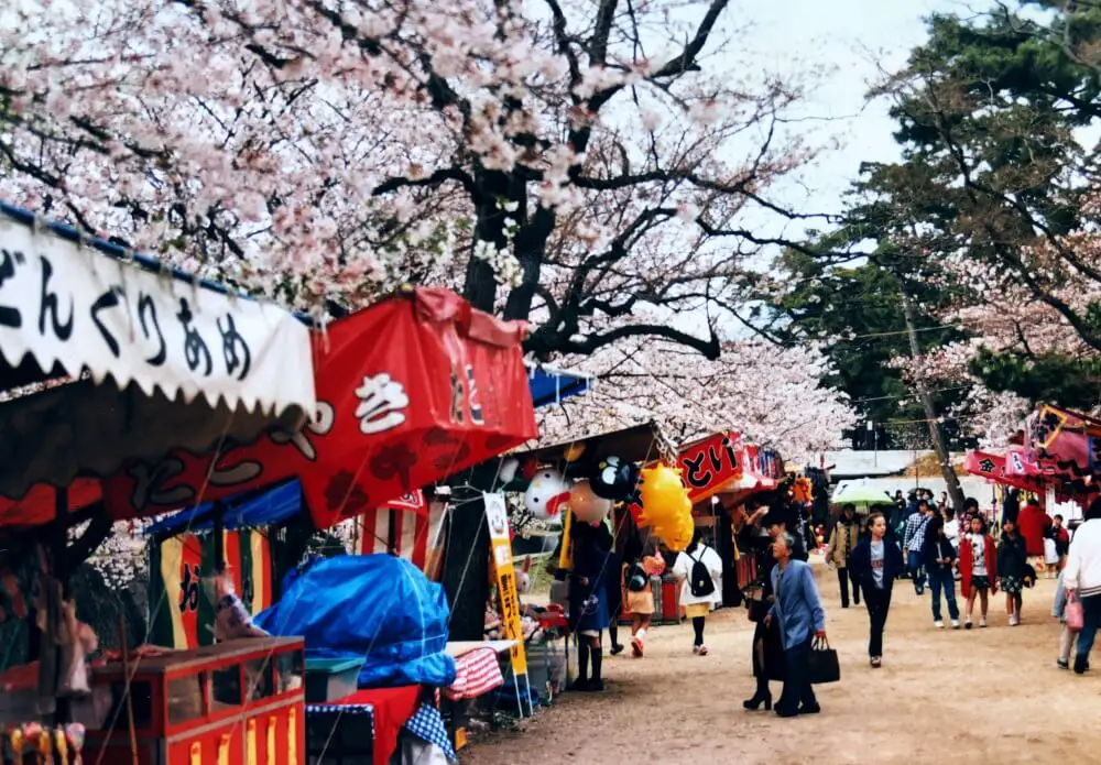 Hanami stalls cherry blossom party Japan