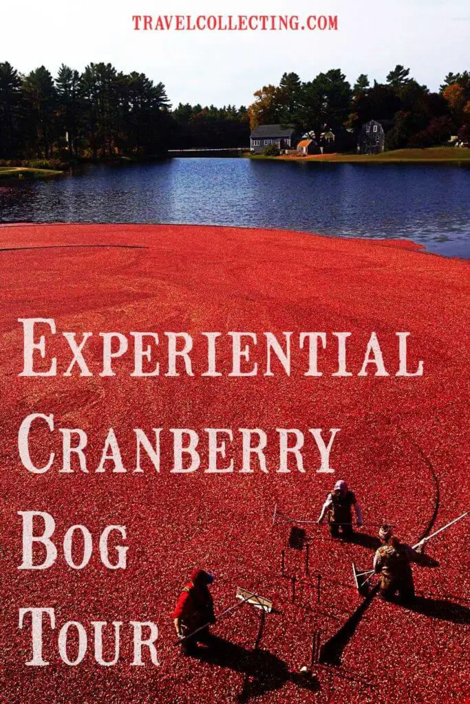 Cranberry Bog Tour, Massachusetts