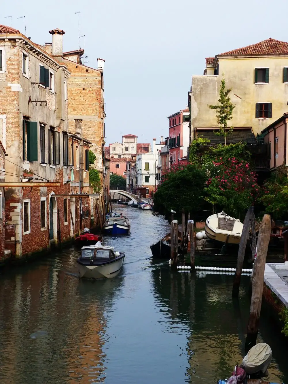 Venice rowing Cannaregio