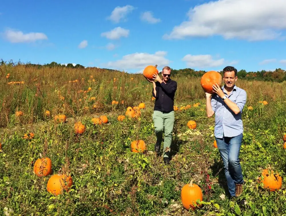 Top Ten Things to do in Hudson Valley in fall-pumpkin patch