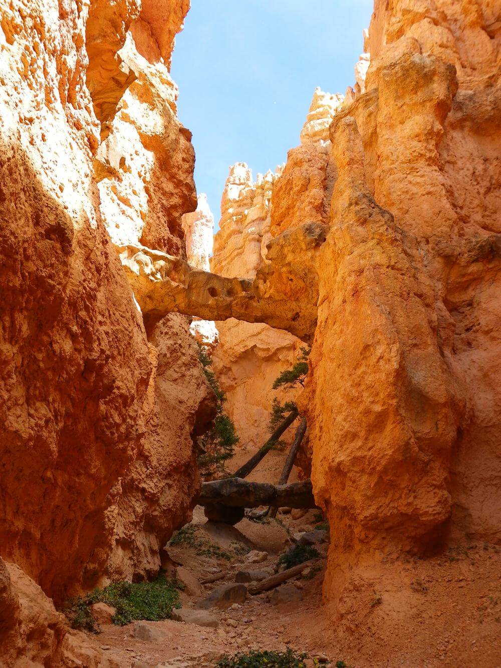 best hikes in bryce canyon