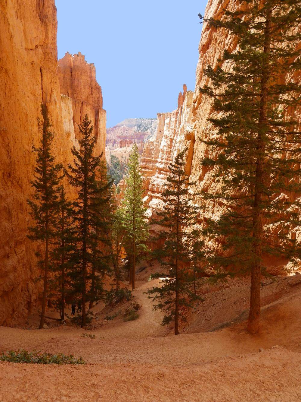 best hikes in bryce canyon