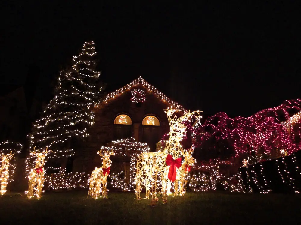 fun things to do in nyc during christmas dyker heights