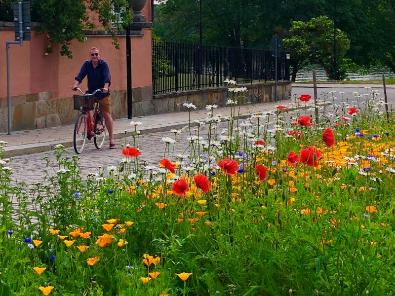 Cycling Stockholm