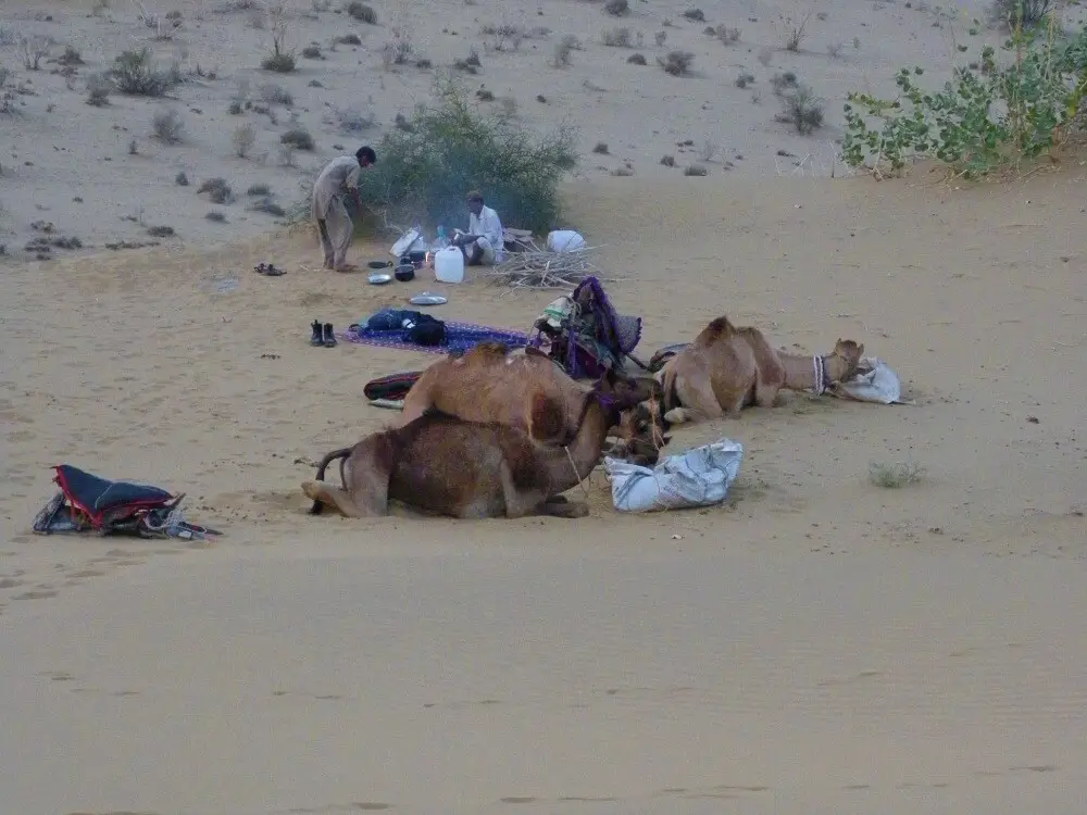 desert camp near jaisalmer
