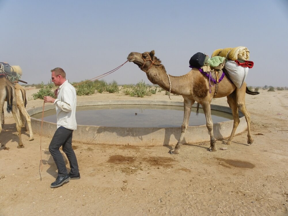 camel safari water hole