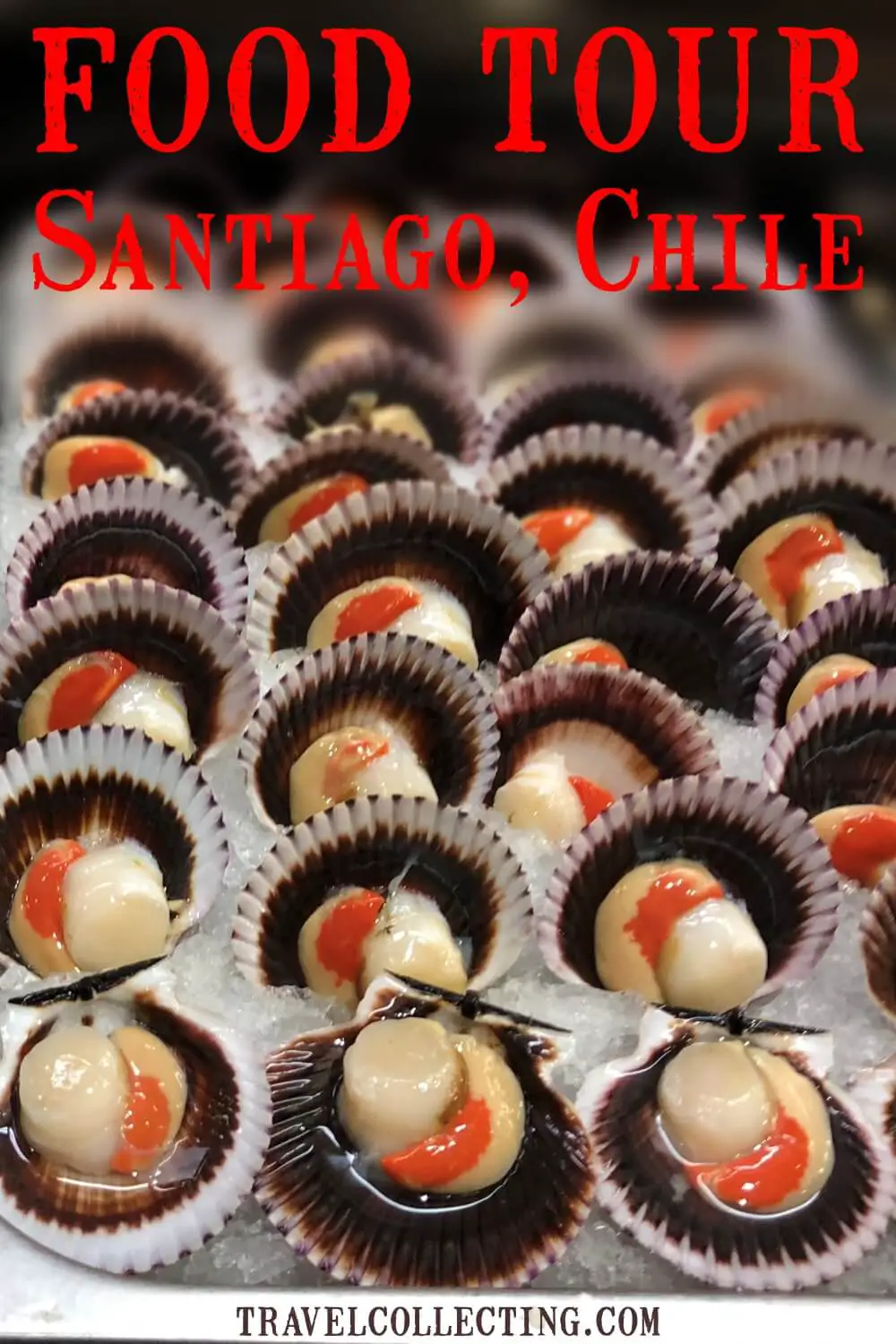 santiago food tour-pinterest