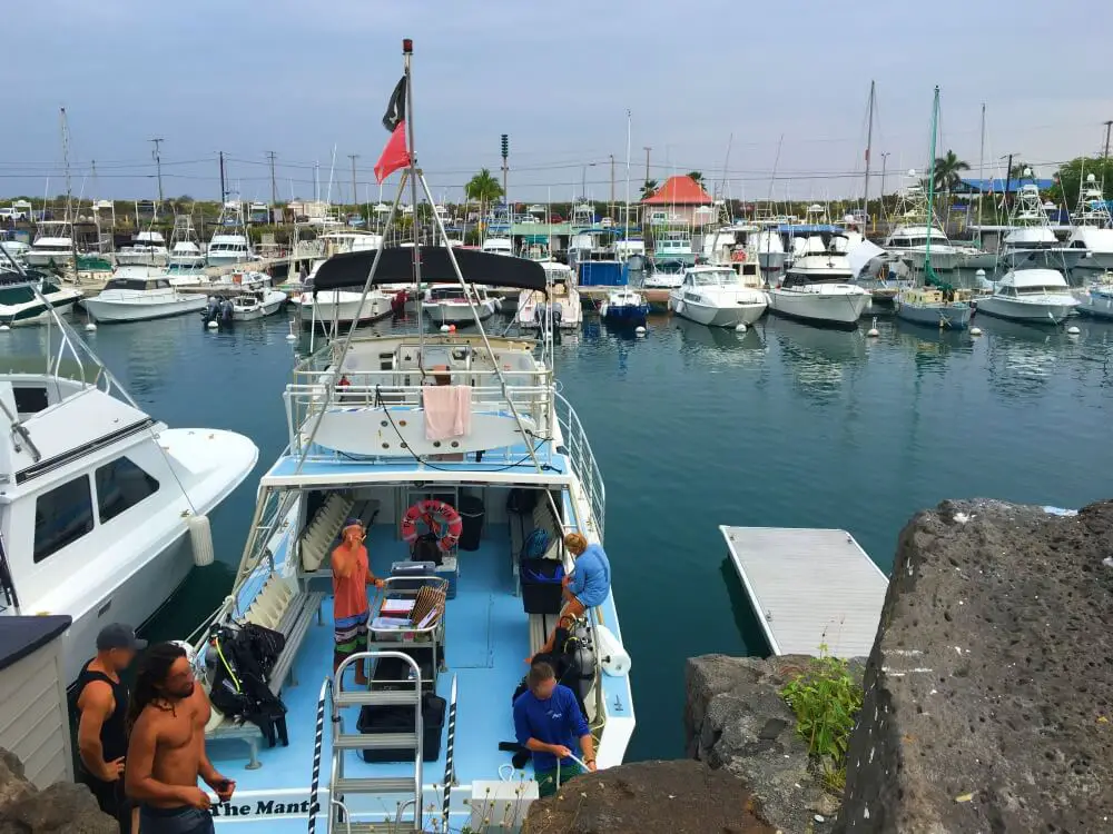 Dive boat manta rays hawaii