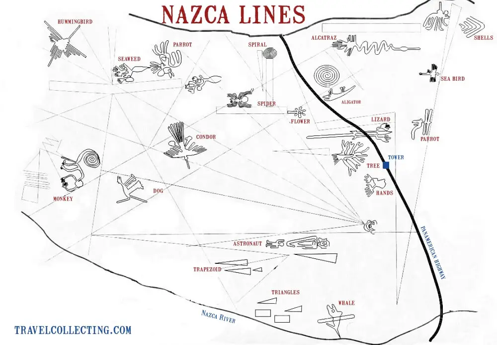 Nazca Lines Flight: A CONDOR, A HUMMINGBIRD AND A PARROT