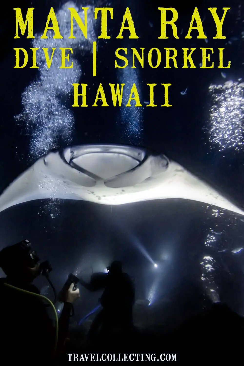 Night dive manta rays kona hawaii