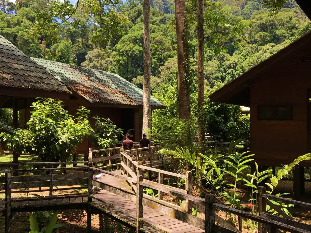 Borneo Rainforest Lodge walkways