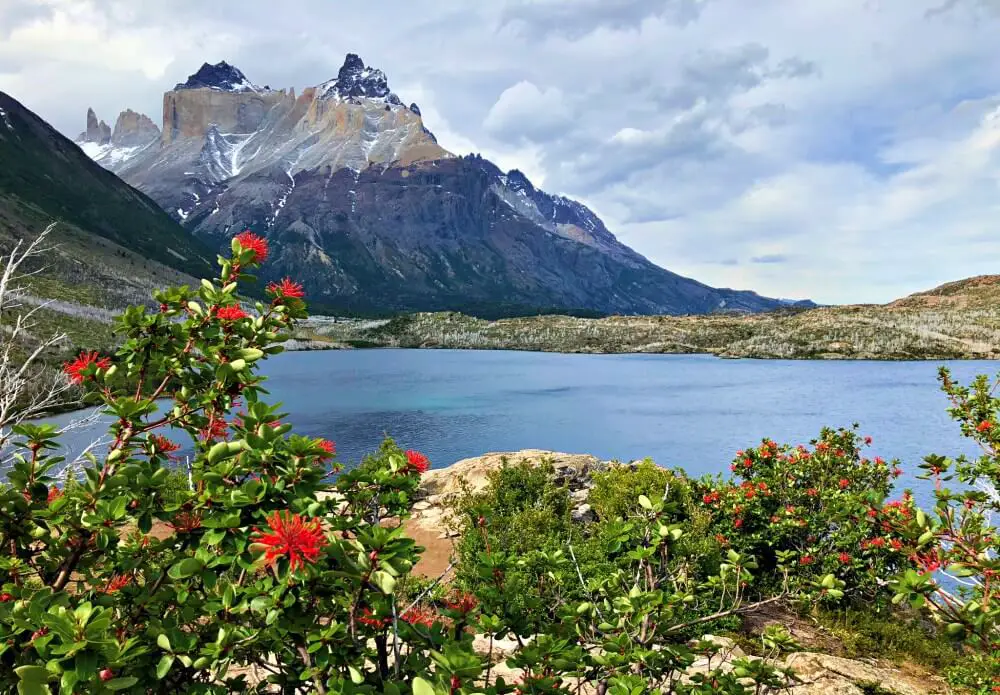 Lake Skottsberg and Cuernos del Paine on French Valley Hike