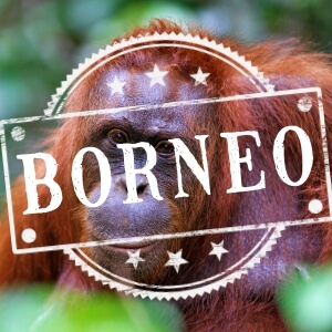 Borneo