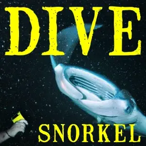 Dive snorkel
