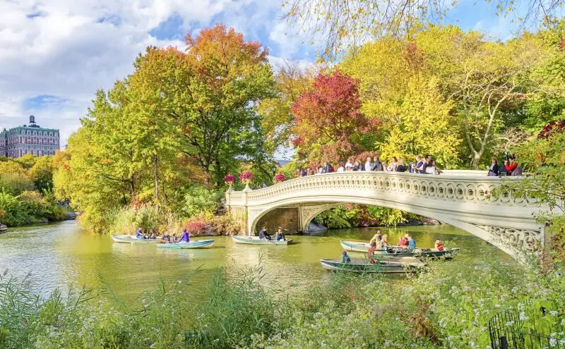 Central park nyc experience gift guide