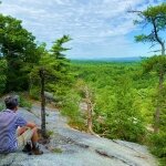 View of forest on Hudson valley hike