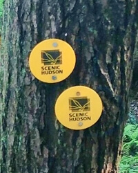 Trail Marker left