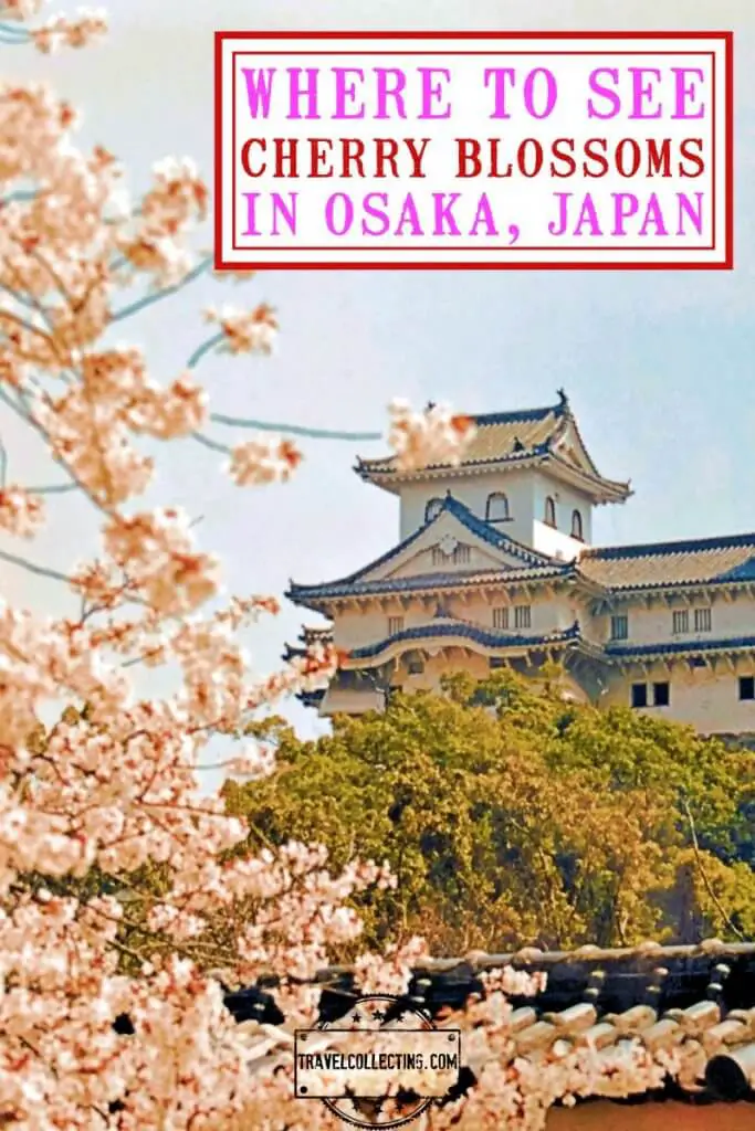 Best Osaka Cherry Blossom Viewing 2022