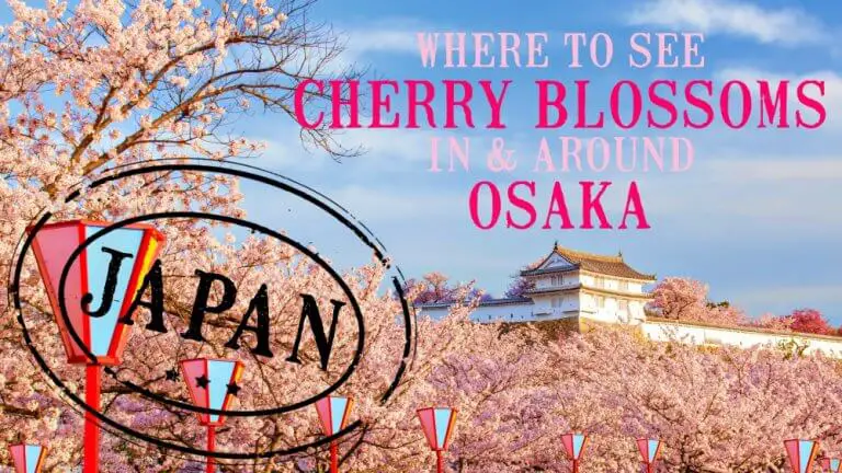 wHERE TO SEE CHERRY BLOSSOMS IN AND AROUND oSAKA
