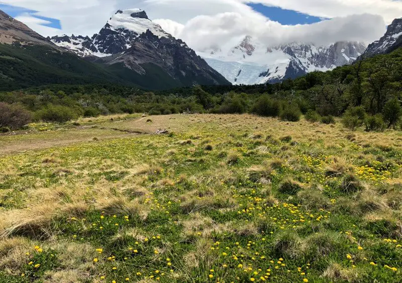 4-5 km just after 4km dandylions laguna torre trail