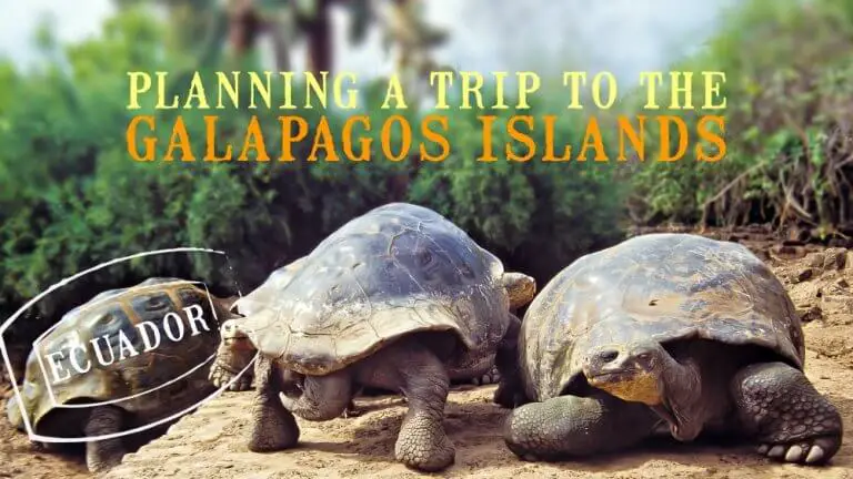 Planning Trip to Galapagos