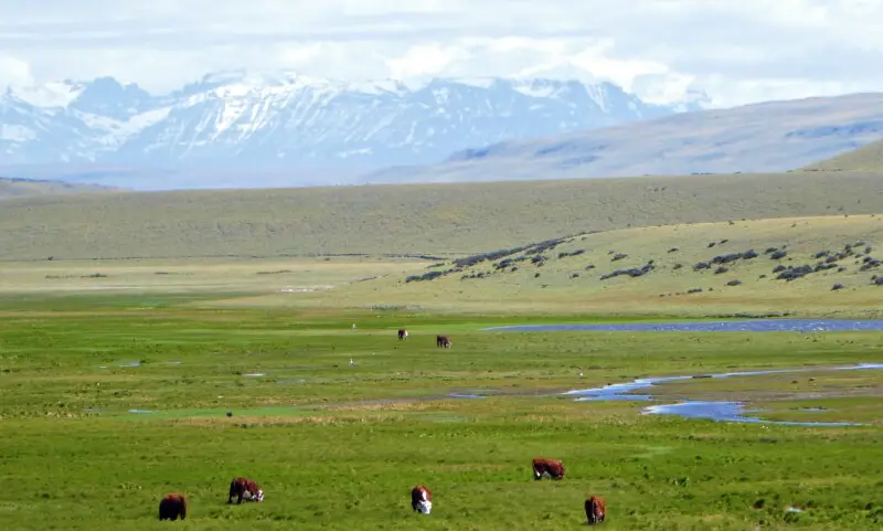 Views from the road driving between El Calafate and Puerto Natales