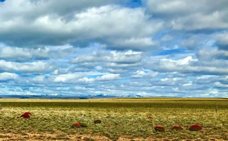 patagonia scenes while driving