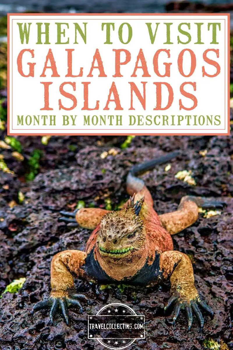 Best Time To Visit Galapagos Islands