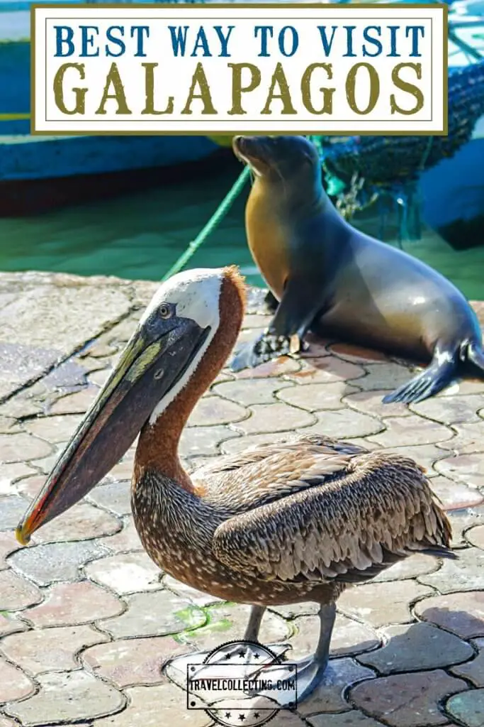 Best Way to See Galapagos