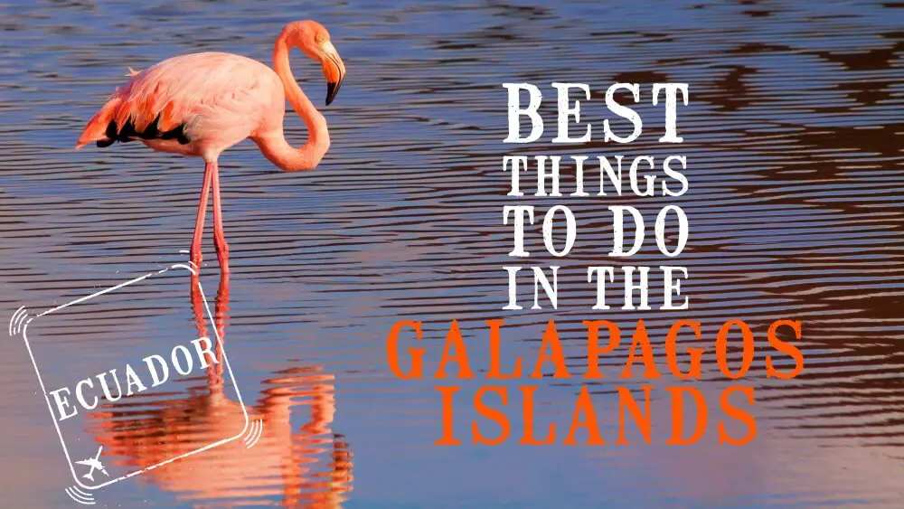 Best Things To Do In The Galapagos Islands