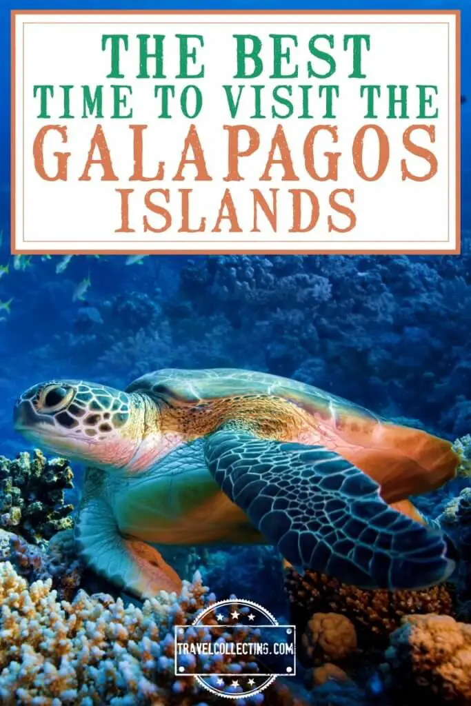 The Best Time to Visit The Galapagos Islands