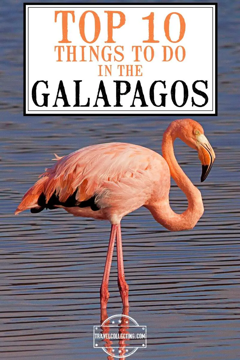 Best Things To Do In The Galapagos Islands