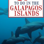 Top Ten Things To Do in The Galapagos Islands includes diving with hammerhead sharks
