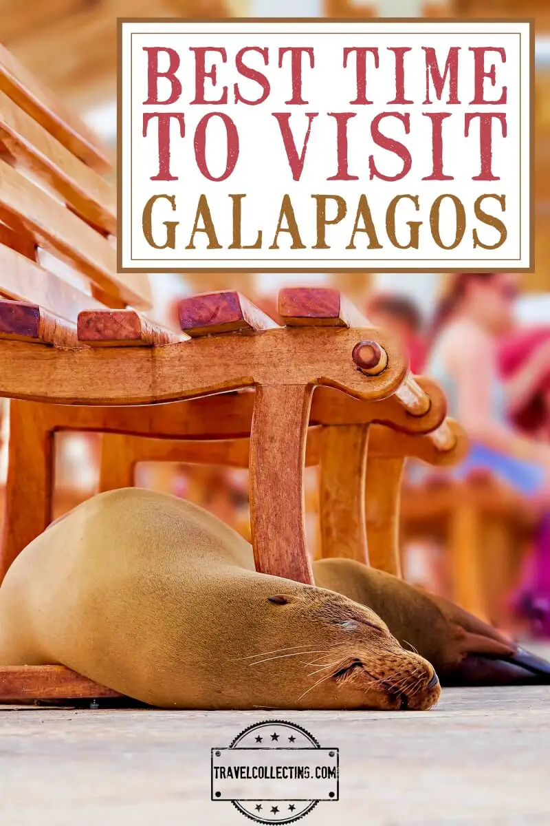 Best Time To Visit Galapagos Islands