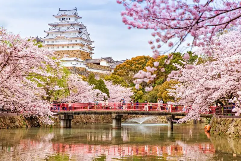 Himeji castle with cherry blossoms and river with bridge
