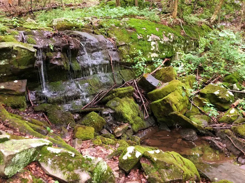 Hike the Shaupeneak Ridge Trail 8 upper small waterfall Shaupeneak Ridge Trail