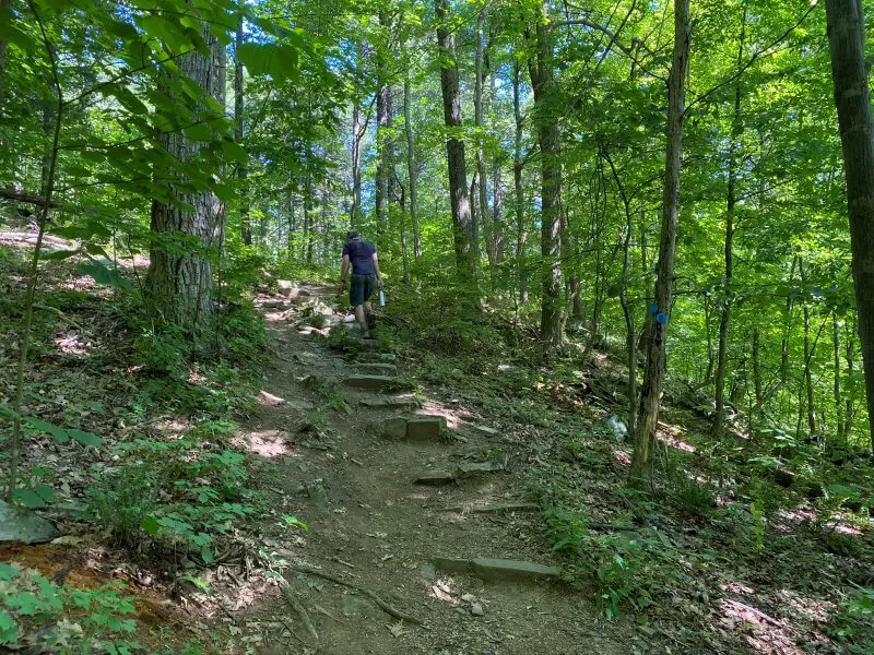 Hike the Shaupeneak Ridge Trail 32 Blue Trail Shaupeneak Ridge