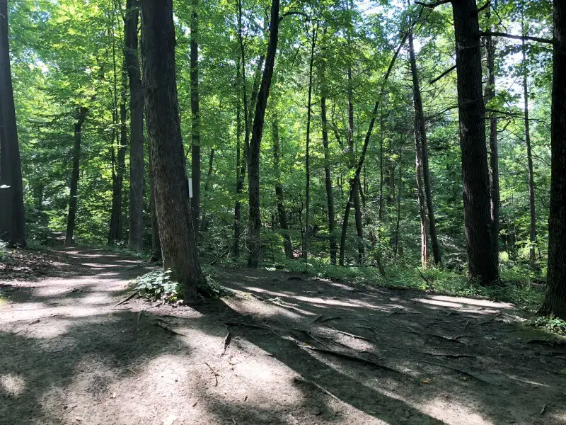 Poets Walk, NY 26 Back to the main trail of poets walk