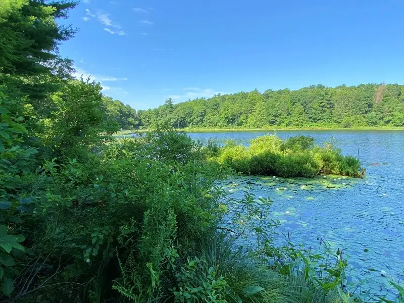 Hike the Shaupeneak Ridge Trail 26 second viewpoint of Louisa Pond Blue Trail Shaupeneak Ridge