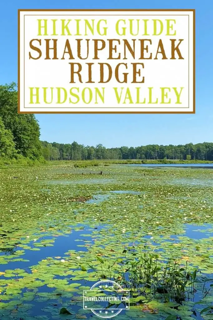 Hike the Shaupeneak Ridge Trail 45 Complete Guide to Shaupeneak Ridge Trails