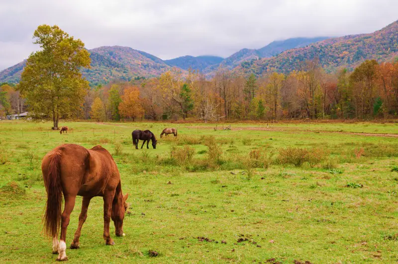 Cades Cove Blue Ridge Mountains