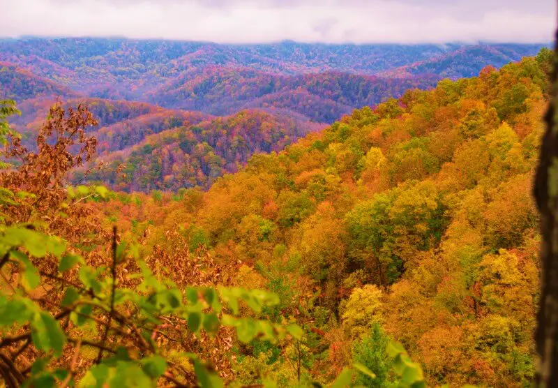 Great Smoky Mountains