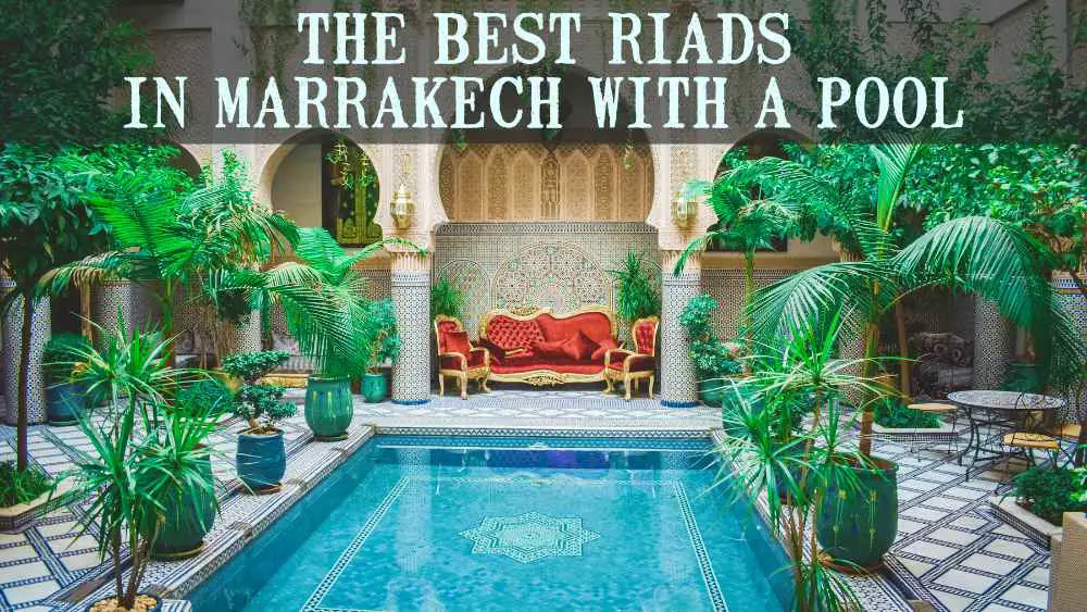 red sofa next to blue tiled pool with palm trees in inside courtyard in one of the best riads in marrakech with pool