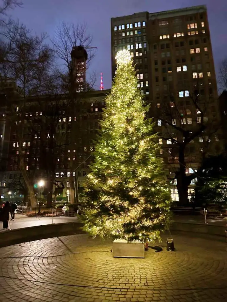 Christmas tree in Madison Square Park